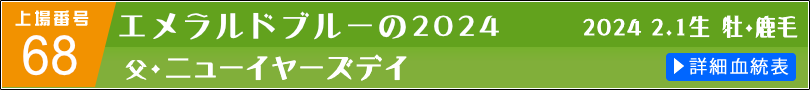 エメラルドブルーの2024 詳細血統表へのリンク