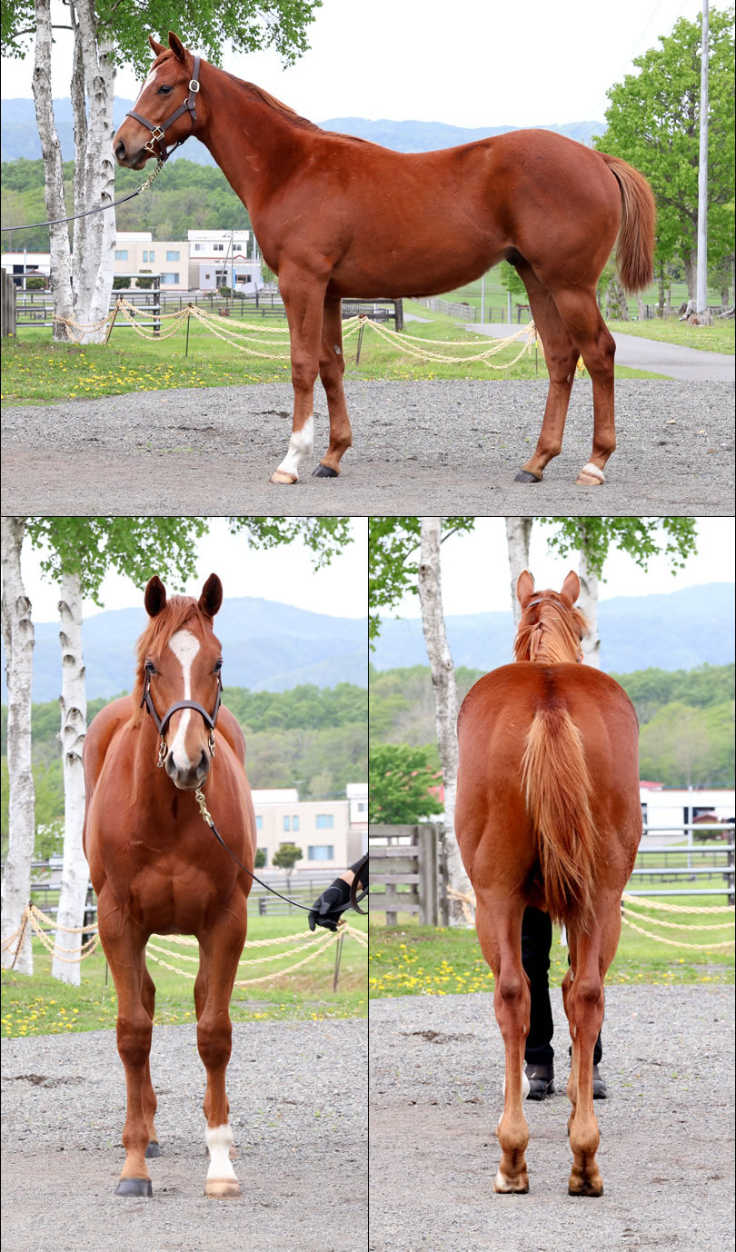 ジェドゥラシャンスの2024の写真