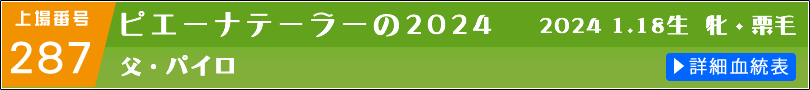 ピエーナテーラーの2024 詳細血統表へのリンク