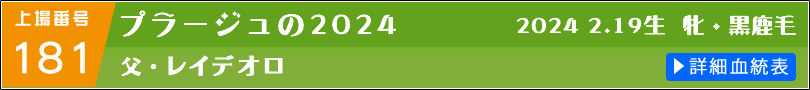 プラージュの2024 詳細血統表へのリンク