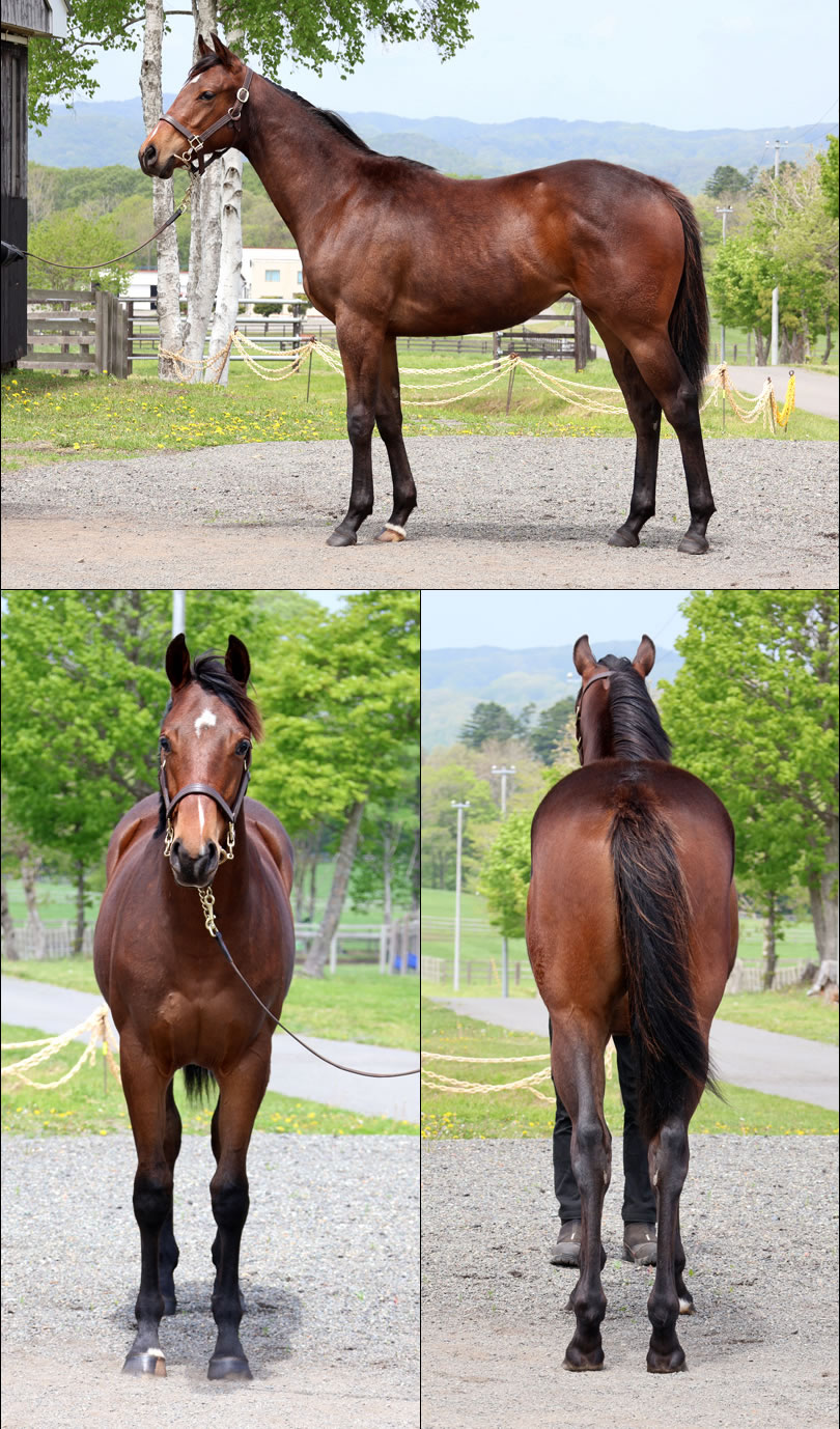 レッドウッドヒルの2024の写真