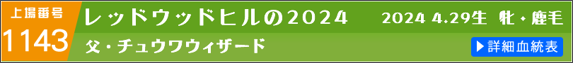 レッドウッドヒルの2024 詳細血統表へのリンク