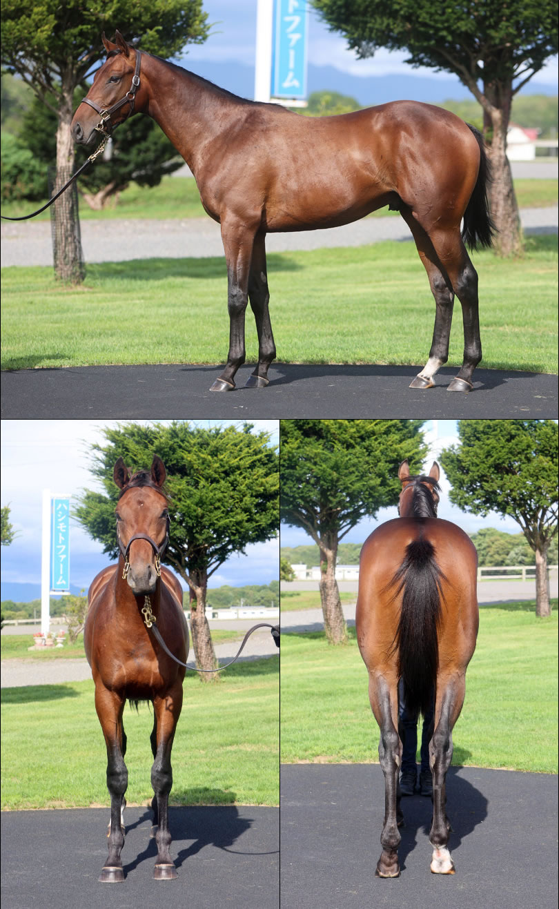 エメラルドブルーの2024の写真