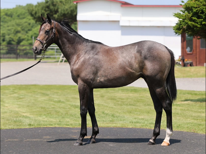 ルヴェソンヴェールの2024の写真