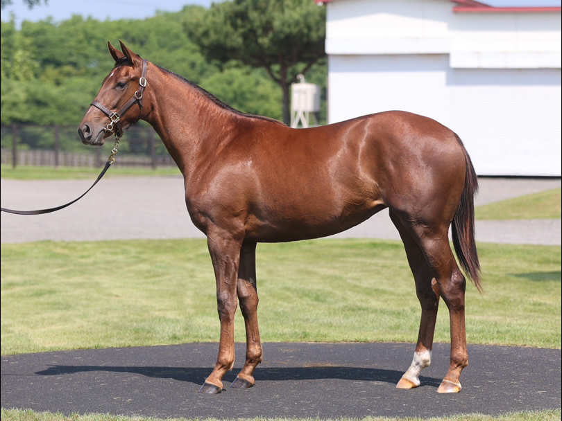 ピエーナテーラーの2024の写真