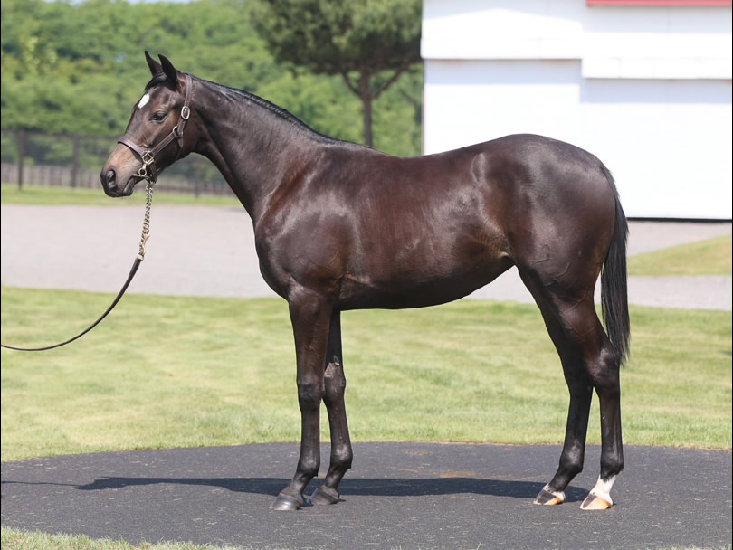 プラージュの2024の写真