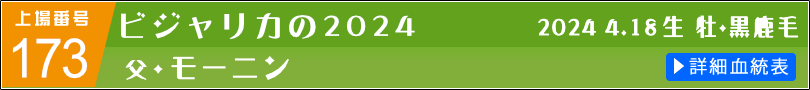 ビジャリカの2024 詳細血統表へのリンク